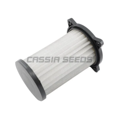 Filtro de aire para Suzuki GZ125 1998-2011 GZ250 1999-2015 Foto 1 de 3