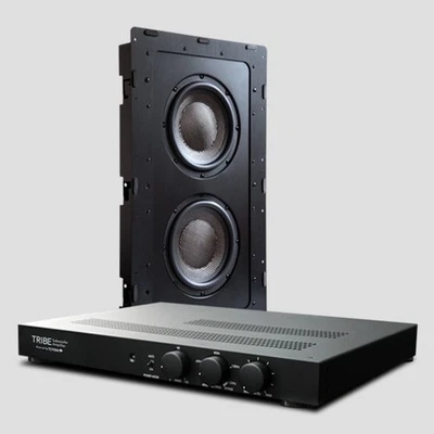TOTEM IN-WALL Doble 8 Sub con Tribu Sub Amplificador NUEVO EN CAJA Foto 1 de 4