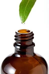 Herbal Shampoo Lemon Geranium Tea Tree 250ml 500ml Vegan Natural Chemical Free - Picture 1 of 14