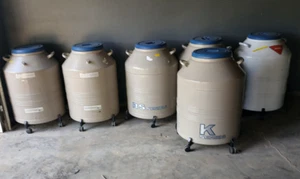 5x Taylor-Wharton & 1x Cryosafe, Nitrogen Cryogenic Storage Handled Container - Picture 1 of 20