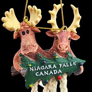 VTG Niagra Falls Canada Moose 3D Resin Refrigerator Fridge Magnet Hang Ornament - Picture 1 of 7