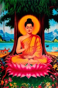 Photo Buddha Dhyana Mudra - Symbol Awakening - Spirituality - Lotus #3266 - Picture 1 of 2