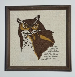 Vintage Owl Isaiah 34:15 Finished Cross Stitch Framed Religious 9.75”x9.75” - Picture 1 of 7