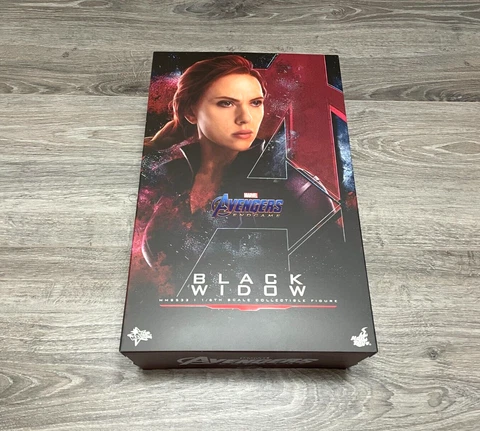Hot Toys Marvel's Avengers Endgame Black Widow 1/6th Scale MMS533 New Open Box Cover
