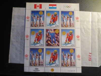 DOC Paraguay 1988 Juegos Olímpicos Calgary Esquí Hoja Completa MNH Foto 1 de 4