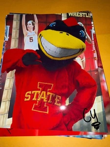 Cy the Cardinal Iowa State Maskottchen signed 8x10 Foto - Bild 1 von 1