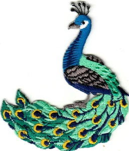 PEACOCK Iron On Patch Birds Peacocks - Picture 1 of 1