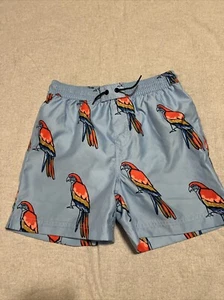 EUC Tea Collection Parrot 🦜 Bird Swim Trunks, 10, 2024 - Picture 1 of 3