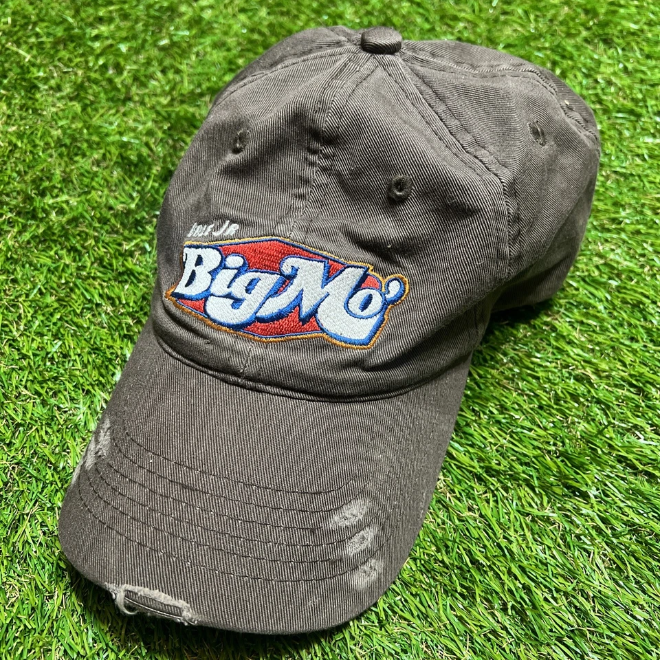 Sombrero Dale Earnhardt Jr Para Hombre Correa Marrón Big Mo Candy Nascar Racing Foto 1 de 4