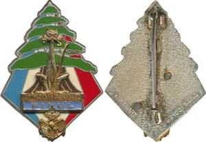 3° Régiment d’Infanterie de Marine, 3° Cie, FINUL, LIBAN, Cedre, Delsart (1777) - Imagen 1 de 1