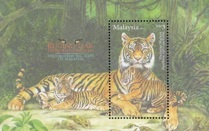 *FRETE GRÁTIS Big Cats Ameaçados Malásia 2013 Tigre Leopardo Vida Selvagem (ms) MNH - Imagem 1 de 4