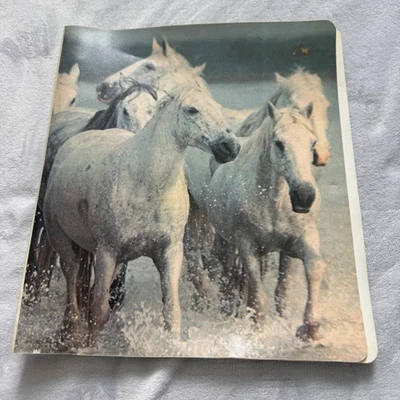 Carpeta Flexiprint Vintage 1977 Colad Horses 3/4” Carpeta Buffalo NY EE. UU. Foto 1 de 4