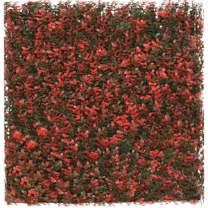 Valla de privacidad de 20""x20"" rojo imitación artificial hoja de buxus pantalla panel decoración seto - Imagen 1 de 8