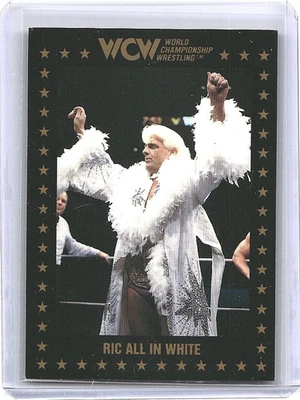 Tarjeta Ric Flair All in White 1991 Championship Marketing WCW #56 Foto 1 de 2