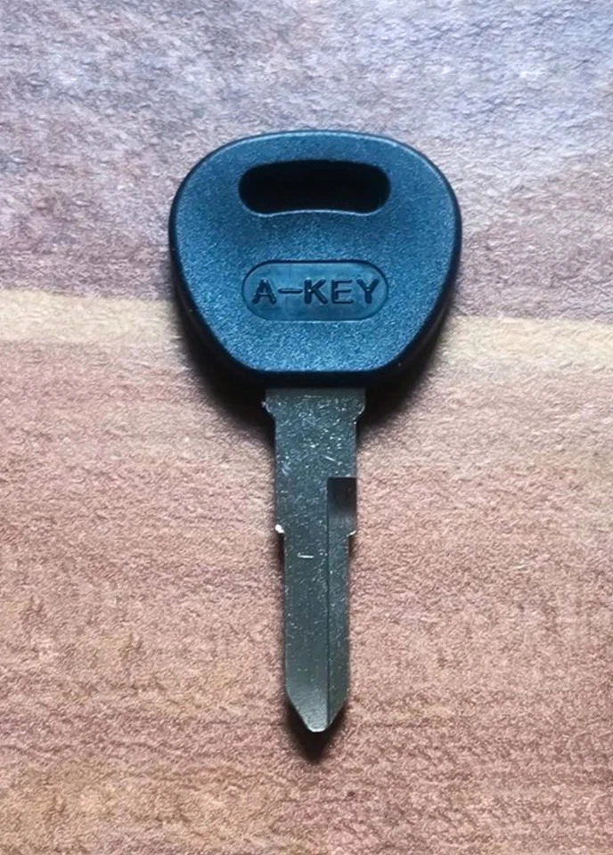 Rad Power Bikes Radrunner Radwagon Battery Key Master Key Battery - Image 1 of 1