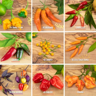 Chili Samen Mix - 100 Samen - 9 Sorten - mild bis 1Mio Scoville - frische Ernte - Bild 1 von 4