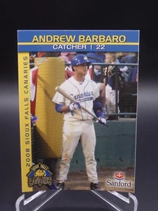 2008 MultiAd Sioux Falls Canaries Andrew Barbaro - Bild 1 von 2