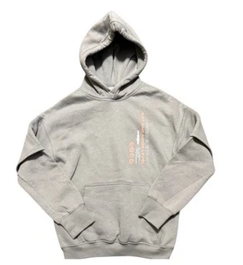 H&M Boy Gray Hoodie - Picture 1 of 6