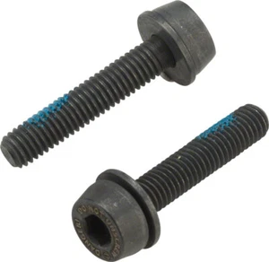 Campagnolo H11 Disc Caliper Mounting Screws 24 mm - Picture 1 of 1