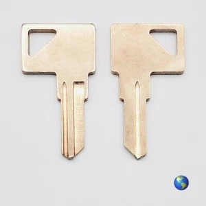 WG2 Key Blanks for ESP, Faraday, Hudson, Oslo Switch, Xerox, and others (2 Keys) - Picture 1 of 4