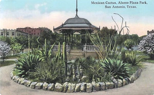 San Antonio Texas TX ~ Cactus Mexicano, Parque Alamo Plaza UNP Postal - Imagen 1 de 2
