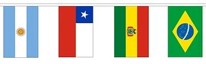 SOUTH AMERICAN NATIONS BUNTING 5 metres 12 flags Polyester flag BRAZIL ARGENTINA - Picture 1 of 1