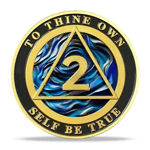 2 Years Sobriety Coin AA Recovery Medallion Serenity Prayer Two Year Sober Chips - Picture 1 of 14