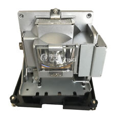Replacement Projector Lamp for Optoma BL-FS300C,  TH1060P, TX779P-3D