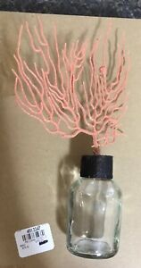 NEW Pottery Barn Coral Top Bottles Decor
