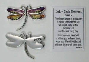 H1 Hope ENJOY EACH MOMENT DRAGONFLY Pocket token charm Ganz keep hope every day - Picture 1 of 5