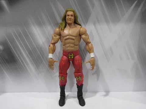 WWE Mattel Elite 86 Summerslam Triple H The Game Dx Degeneration X Hbk Chase Cover