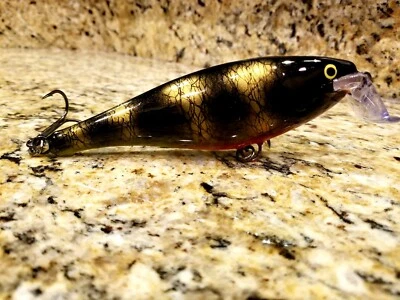 Custom Painted Rapala Super Shad Rap SSR-14 - Image 1 of 4