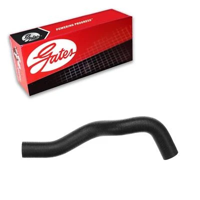 Manguera de refrigerante de radiador Gates inferior para Nissan Sentra 2002-2006 2,5 L L4 GAS Foto 1 de 3