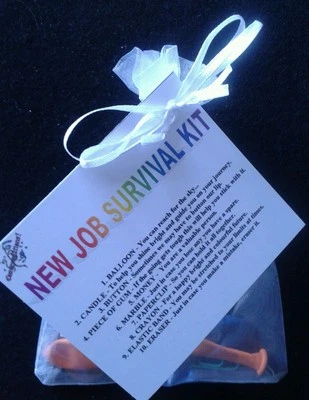 NEEDFULLBITSANDBOBS New Job Survival Kit Keepsake Gift Career Promotion Leaving Present Novelty