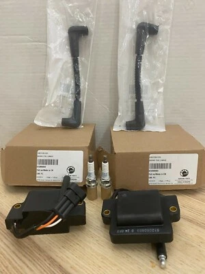 Nuevo Kit de Afinación de Encendido Skidoo Original 800 Enchufes ETEC + Bobinas + Cables Foto 1 de 4
