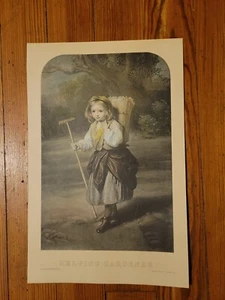 Ant Helping Garderer -Young Girl, 1800s Engraving By C. Tomkins, Artist EU Eddis - Picture 1 of 8