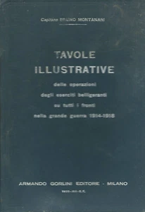 Montanari -Anschauliche Tafeln Operationen an allen Fronten Krieg 1914-18 - WWI  - Bild 1 von 1