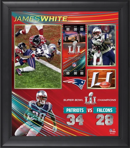 James White NE Patriots Framed 15'' x 17'' SB LI Champs Collage - Fanatics Cover