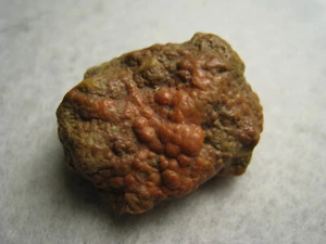 Orange Botryoidal Chalcedony Quartz  Natural Stone Kansas 11.1 Grams - Picture 1 of 14