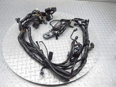Harley Davidson Road King 2002 CVO FLHRSEI motor principal arnés de cableado telar de cables Foto 1 de 4