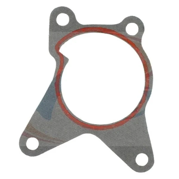 For Nissan Sentra 2007-2012 Apex Auto Engine Coolant Water Pump Gasket Foto 1 de 1