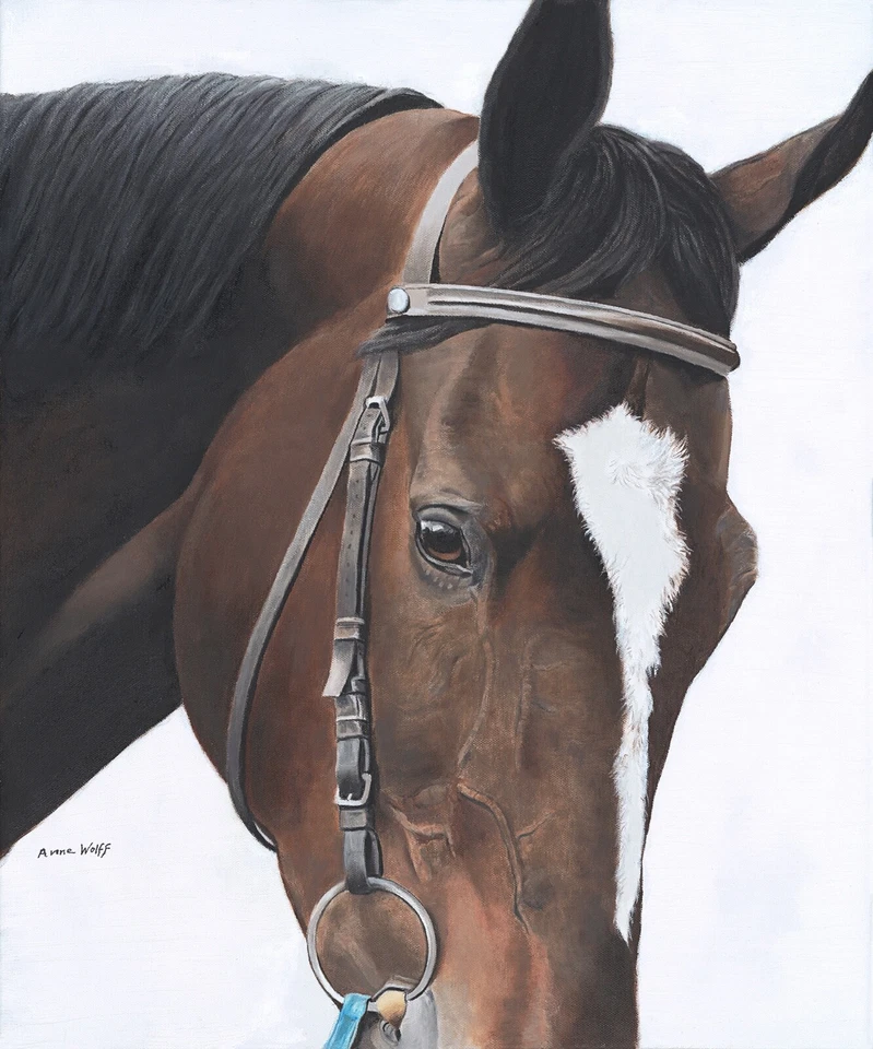 Retrato de caballo de carreras Zenyatta edición limitada impresión giclee sobre lienzo por Anne Wolff Foto 1 de 1