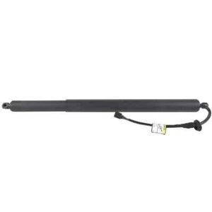 For Hyundai Palisade 3.8L 2020-2022 Driver Left Trunk Lift Strut Shock 81831-S81 - Picture 1 of 1