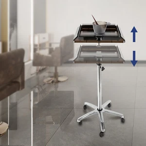 Bandeja de salón enrollable ajustable altura carro peluca soporte extraíble 44 lb - Imagen 1 de 19