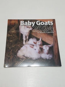 Baby Goat Animal Calendar 2024 16 Month Wall Calendar - Picture 1 of 8
