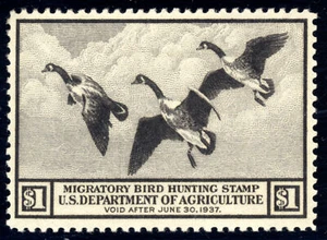 US RW3 $1 Hunting Permit Stamp 1936 Canada Geese in Flight VF unused OG LH - Picture 1 of 2