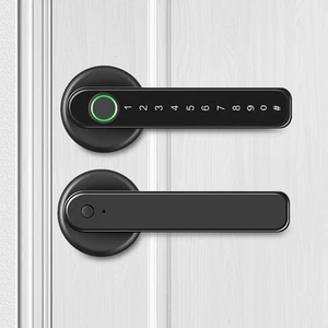 Smart Biometric Door Lock APP Control Fingerprint Door Lock with Handle AKYR - Picture 1 of 6