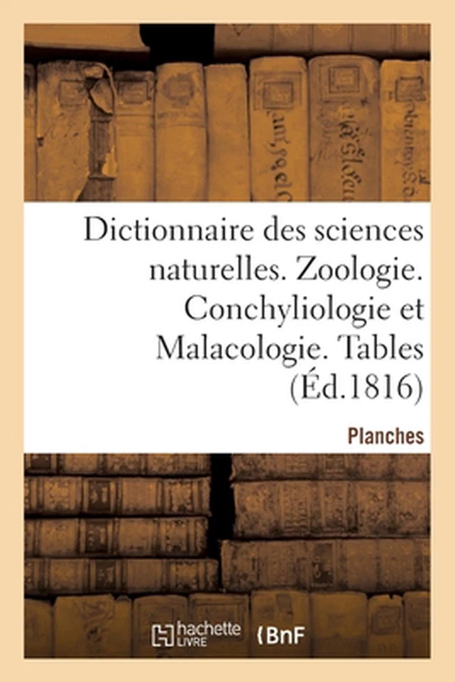 Dictionnaire Des Sciences Naturelles. Planches. Zoologie. Conchyliologie Et Mala - Image 1 of 1