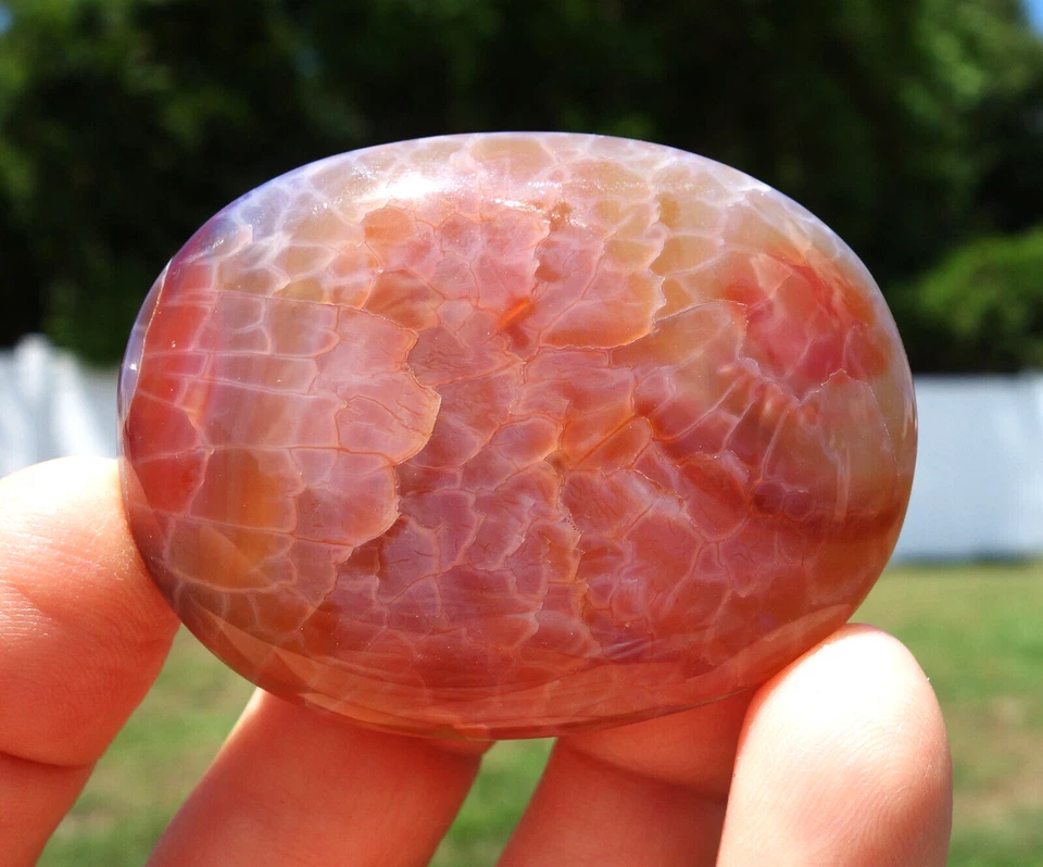 Impresionante PIEL DE SERPIENTE ÁGATA Cristal Impresionantes Colores Piedra de Palma Pulida En Venta Foto 1 de 4