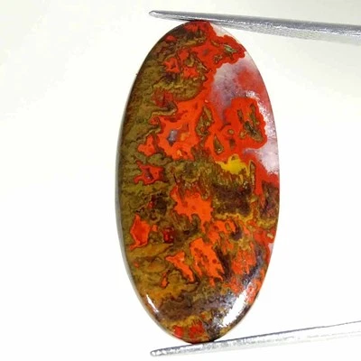 21.40Cts Natural Morocco Seam Agate Oval Cabochon Loose Gemstone 18x35x5mm - Image 1 of 4